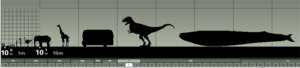 How to Develop a Sense of Scale