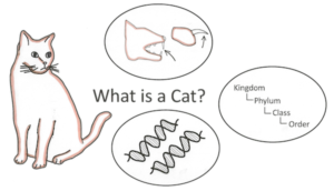 培养你的数学直觉 培养你的数学直觉