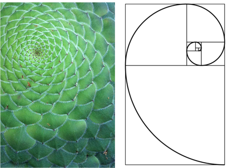 Intuition For The Golden Ratio