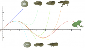 Intuition for Taylor Series (DNA Analogy)