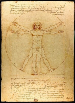 body proportions trig analogy
